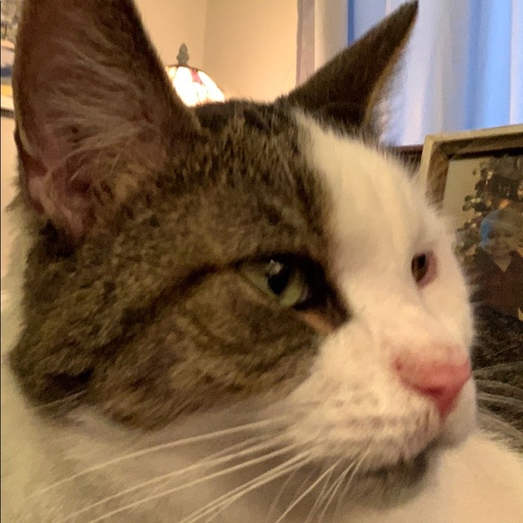 Meet your Posher, Stephen - Picture 1 of 1